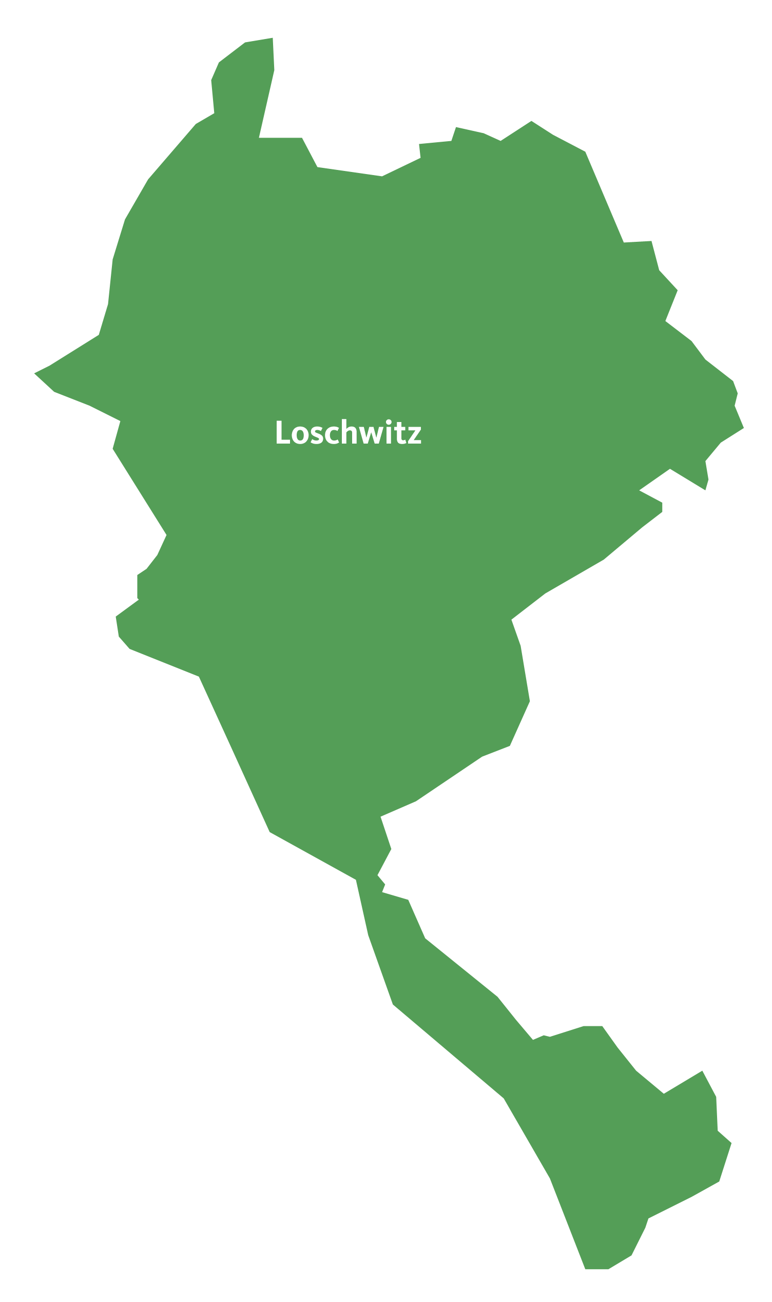 Stadtbezirksbeirat Loschwitz Lokalpolitik